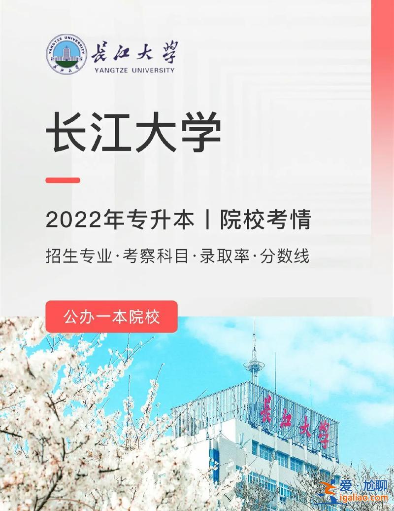 那种专升本好，公办高职专科升本最好的大学？