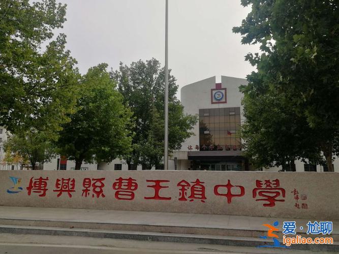 博兴各中学升学率排名(博野实验中学教学咋样)？