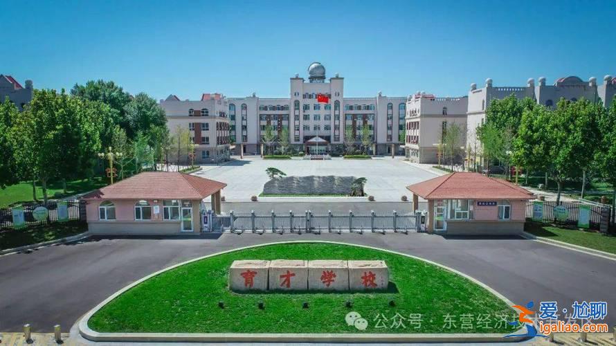 东营育才中学升学率排名(东营育才2024中考升学率)？