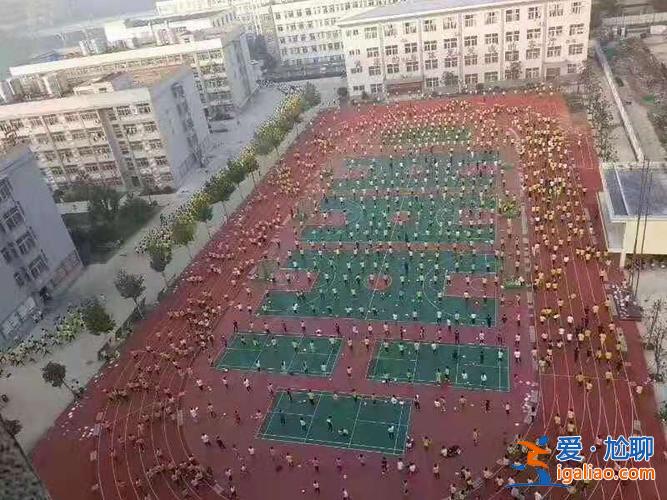 阜阳鸿升学校有没有小学 阜阳天盛凤凰城属于哪个学区？
