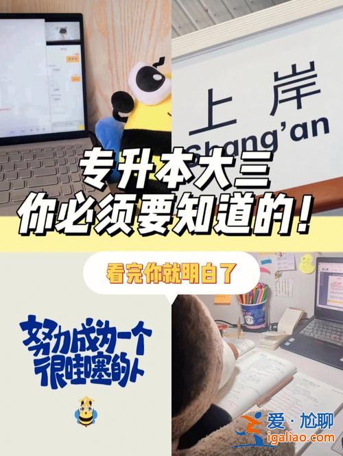 专升本留级 专科大三了可以留一级专升本吗？