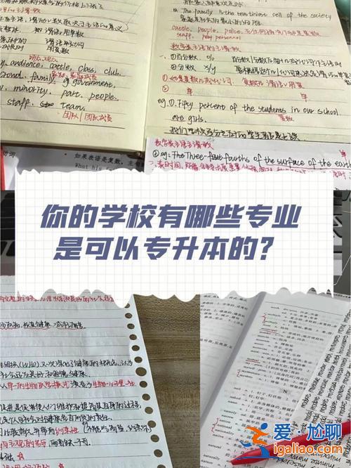 深信专升本？深信院哪些专业可以专升本？