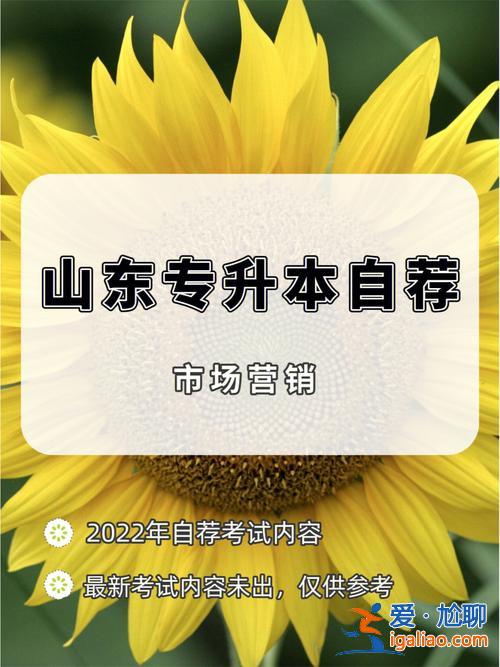 山东专升本市场营销吧？专科市场营销升本可以选什么专业？