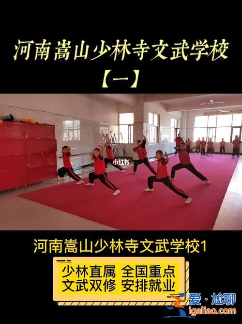 少林寺升学 嵩山少林寺文武学校可以考大学吗？