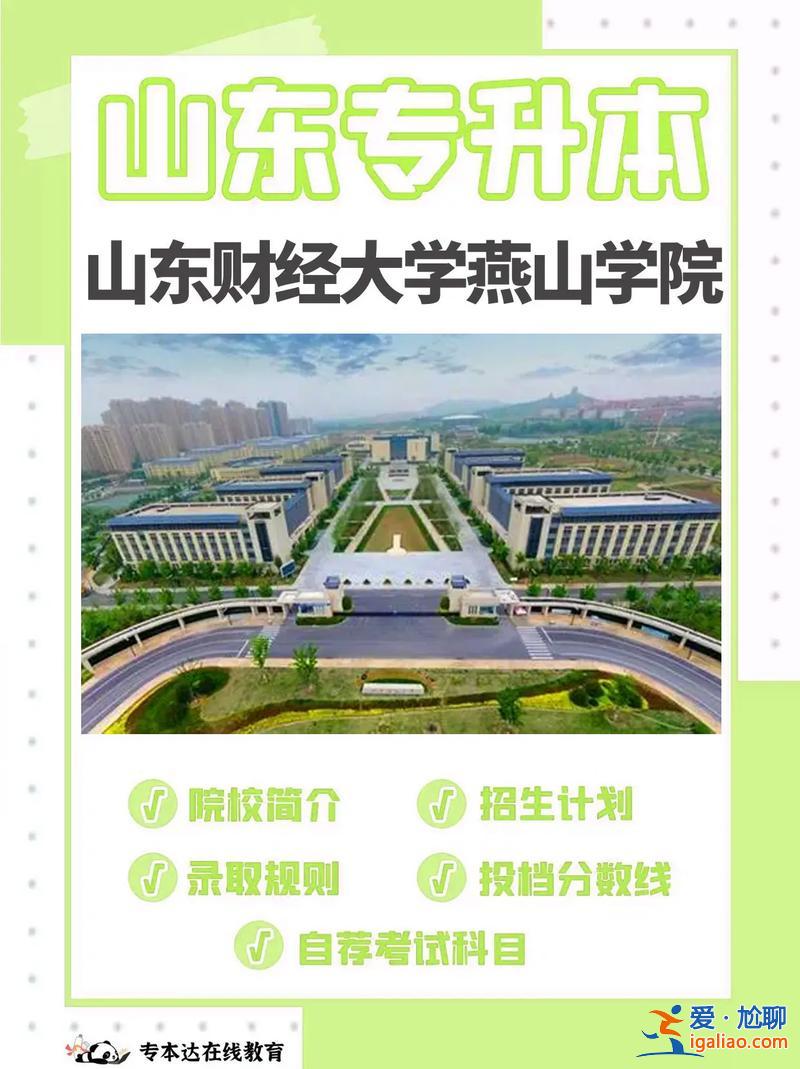 山东财经大学有专升本，专升本财经大学可以吗？