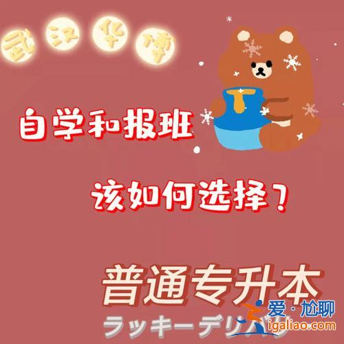 奥鹏远程教育专升本？专升本辅导机构哪家正规？