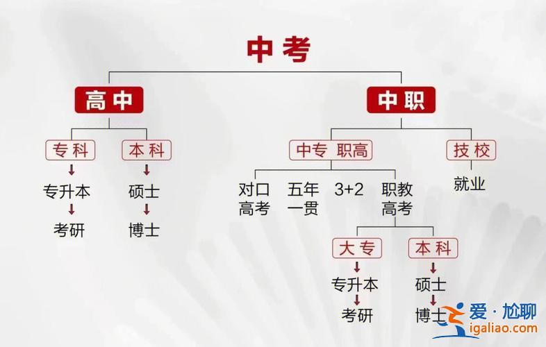 杭州初中升学路径，杭州外地孩子怎么过来上初中？