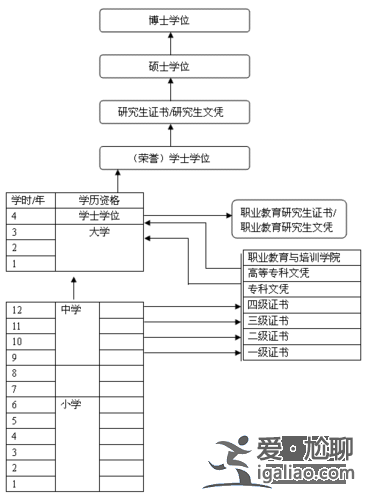 初中毕业后升学路径怎么填 多元升学路径详解？