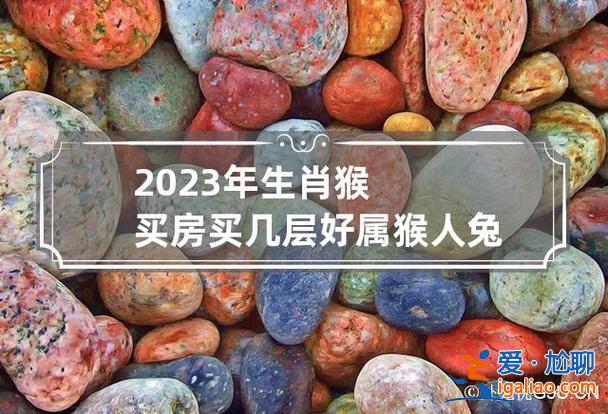 猴人兔年升学？兔年可以建房吗？
