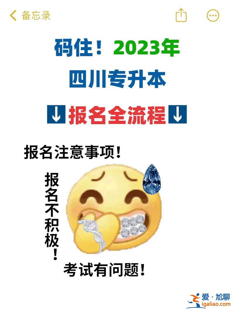国外专升本 国际院校专升本怎么报名？