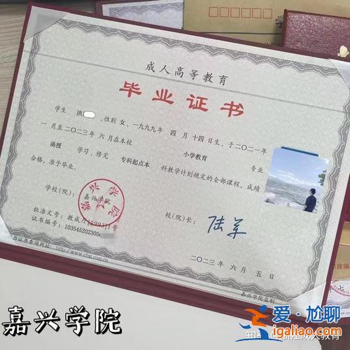 专升本录取查询，专转本录取通知书怎么查询？