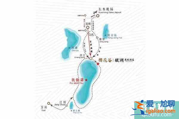 玉溪赏花地有哪些 赏花地推荐？