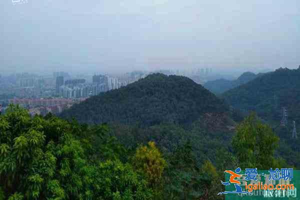 东莞市内游玩景点？