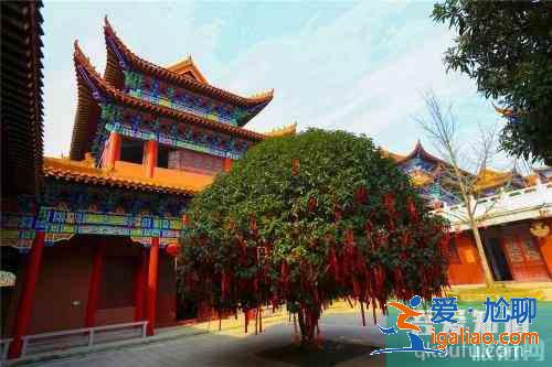 安徽巢湖十大景点推荐 巢湖景点有哪些？