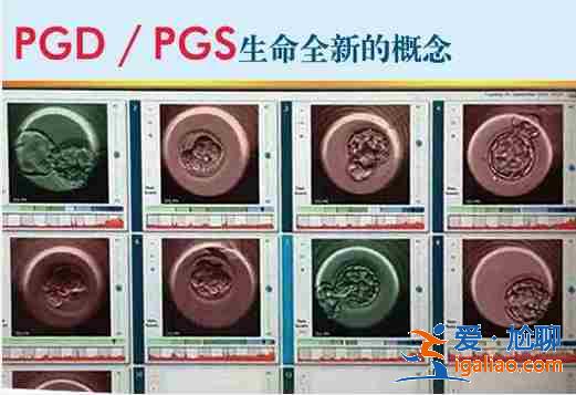 厦门代生孩子包成功,院长首荐？