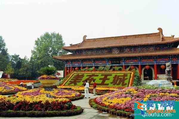 2022受疫情影响洛阳多个公园1月6日起临时闭园？
