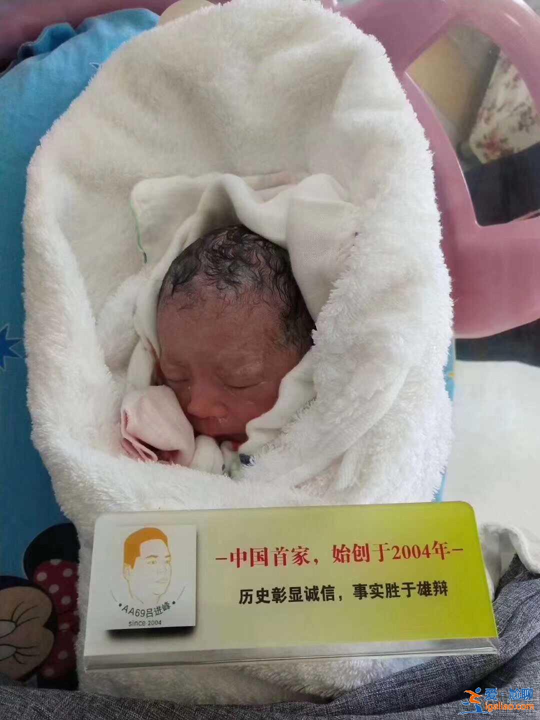 助孕医疗公司？