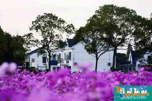 上海新增A级景区有哪些 上海A级景区游玩指南？