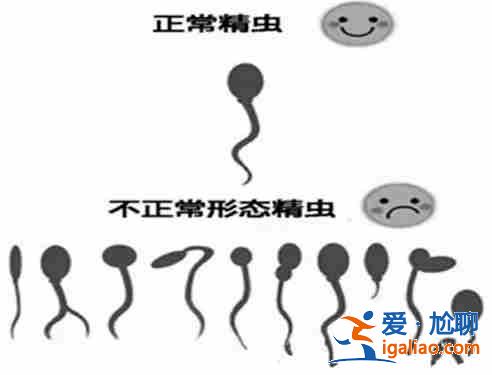 长春代怀代生孕，怀孕第十个月知识大全？