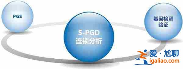 选择性别的助孕方式【专业公司】？