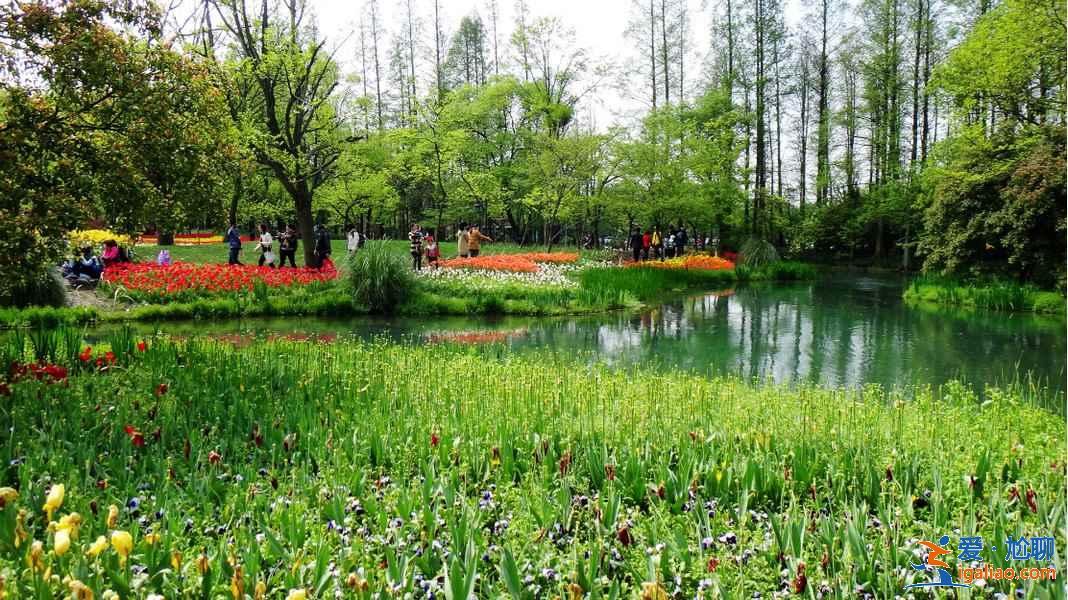 太子湾公园要不要门票？太子湾公园是免费的吗？？