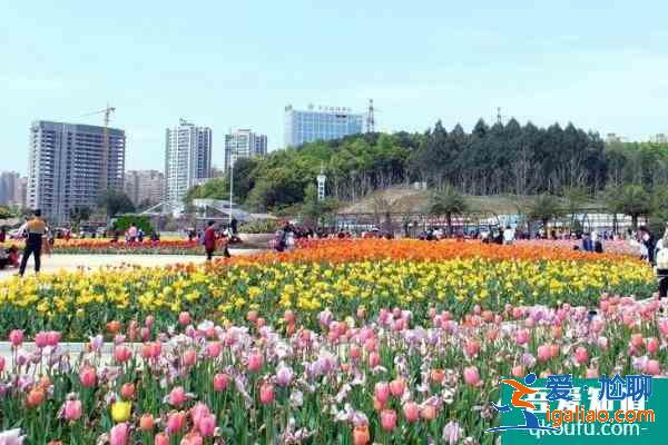 2021湖南植物园樱花什么时候开 湖南植物园适合几月份去？