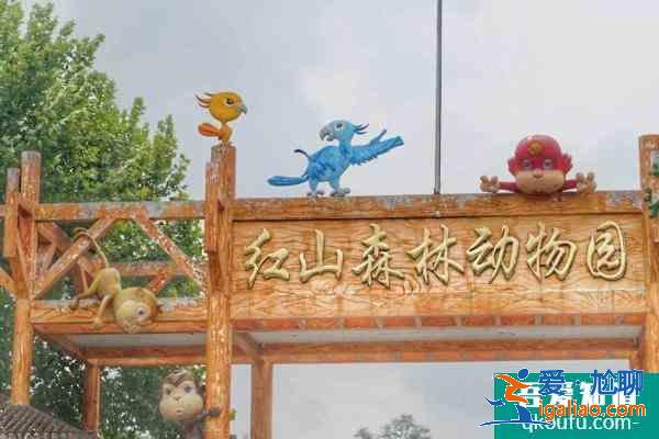 2021红山森林动物园营业时间 红山森林动物园门票多少？