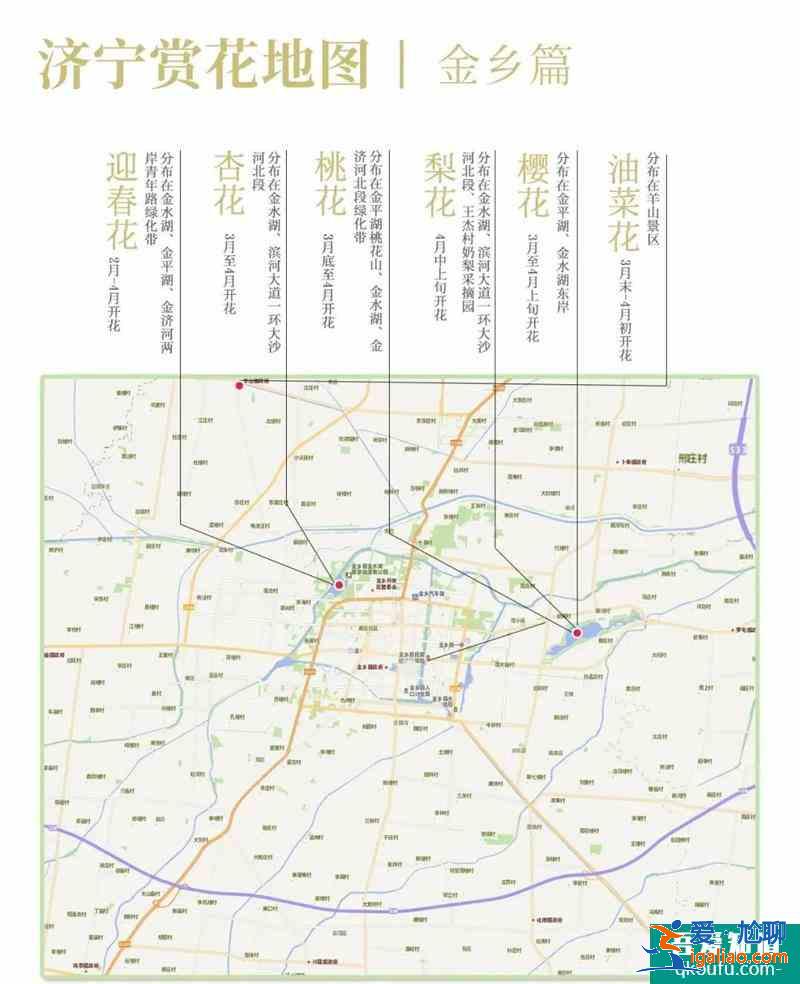 2021济宁最新赏花地图 济宁赏花去哪里？