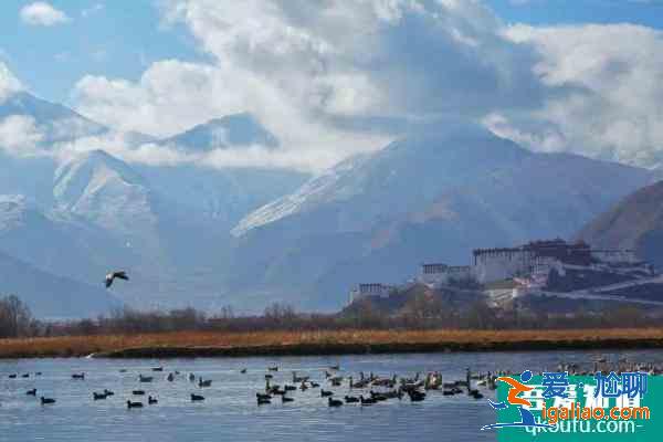2021拉萨拉鲁湿地4月1日起对外开放 拉鲁湿地开放时间？