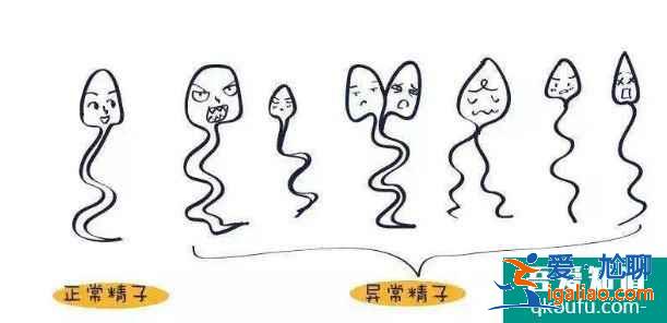 输卵管堵塞赴泰做试管婴儿费用？？