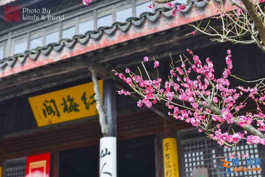 常州有什么好玩的地方，2019常州必去的十个景点？