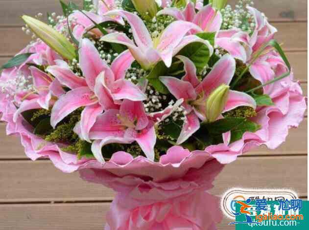 教师节送什么花？