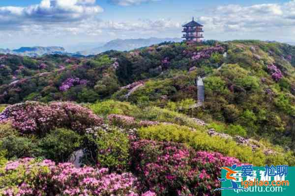 2021重庆五一赏花旅游去哪好？