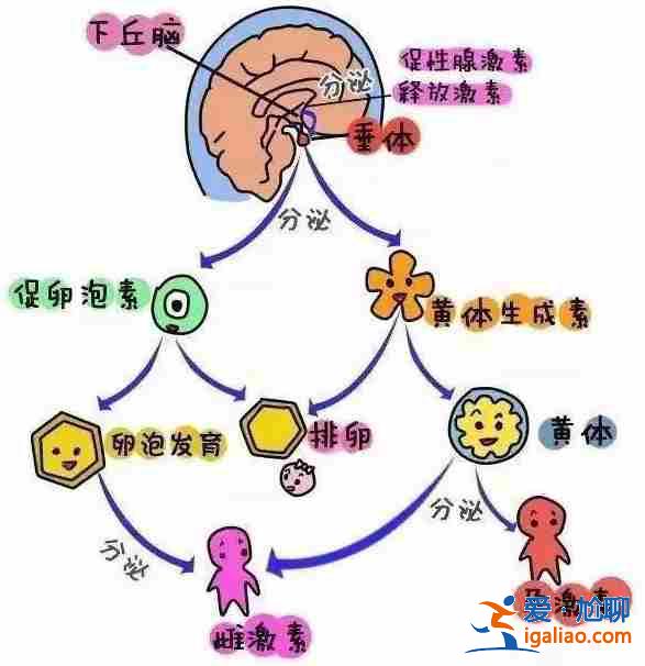 我想替别人代生小孩_这几家医院劝你不要去了？
