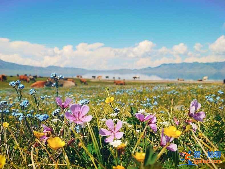 新疆旅游注意事项，去新疆旅游要注意什么？