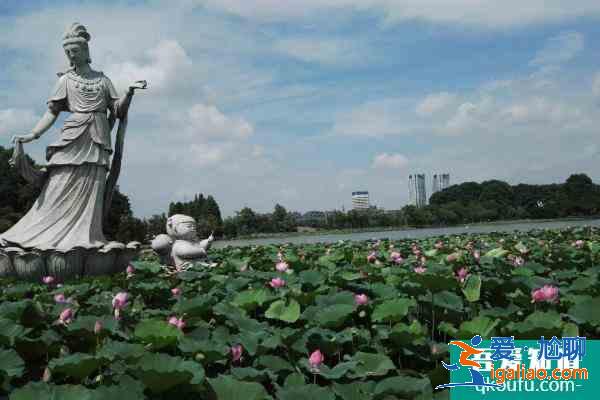 2021南京玄武湖汉服节活动什么时候开始？