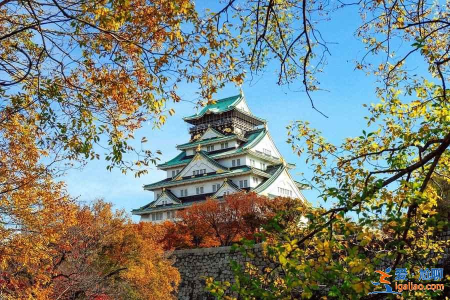 去日本一周需要多少钱，日本自由行7天费用？