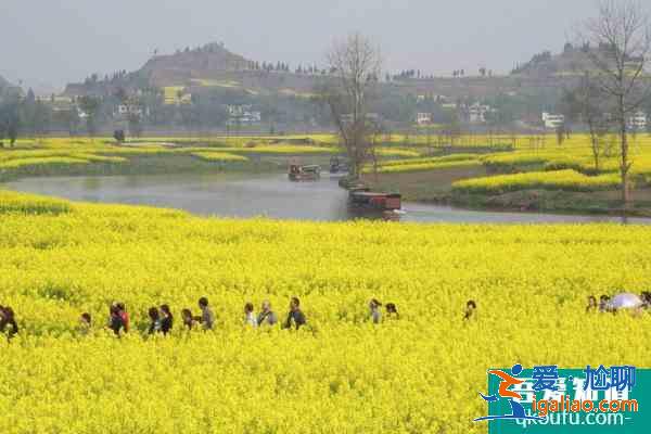 2021年潼南油菜花节攻略 潼南油菜花节时间？