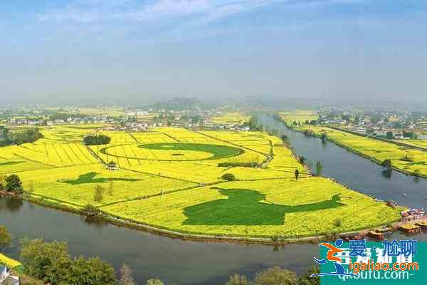 2021年潼南油菜花节攻略 潼南油菜花节时间？