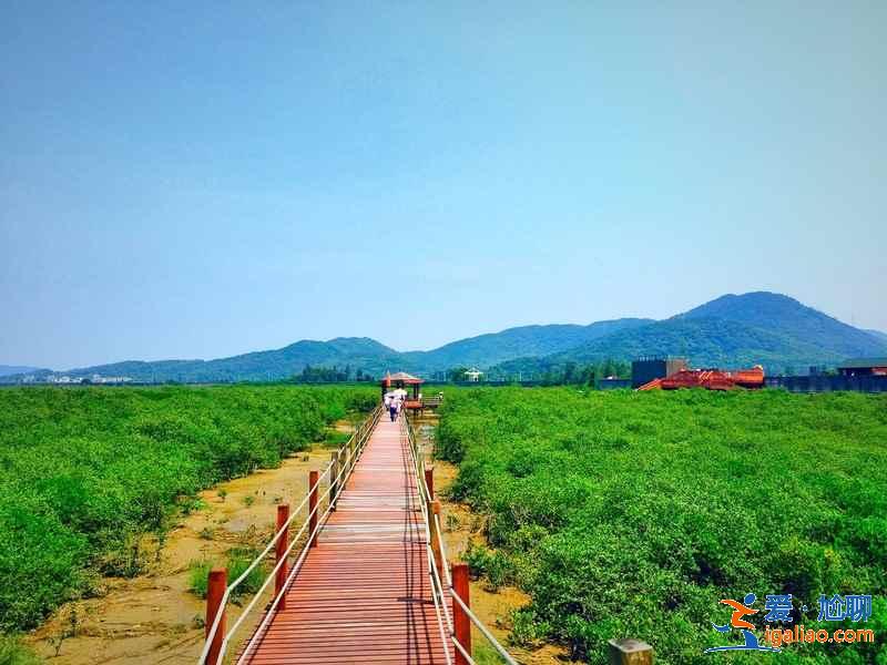 海陵岛一日游去哪玩，海陵岛一日游玩路线推荐，海陵岛一日游攻略？