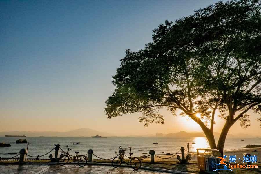 端午节去厦门怎么玩，端午节去厦门玩什么？