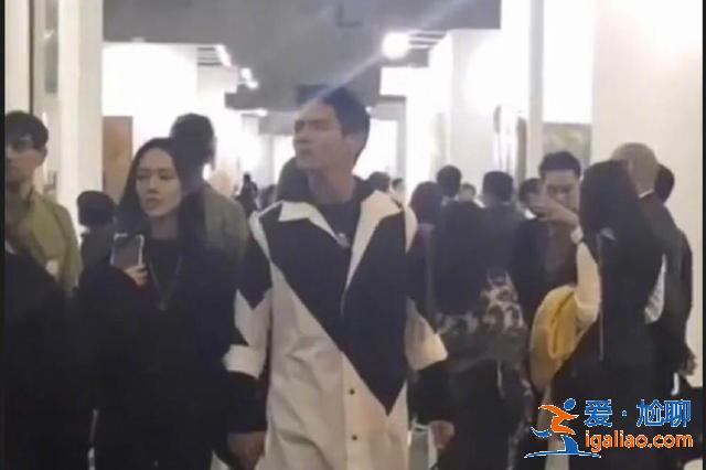 宅男集体失恋,女神郭碧婷牵手向佐