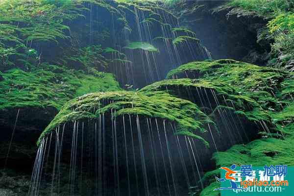 2021河南云台山疫情防控加强通知？