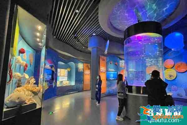 2021澄江化石地自然博物馆加强疫情防控公告？