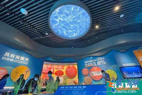 2021澄江化石地自然博物馆加强疫情防控公告？