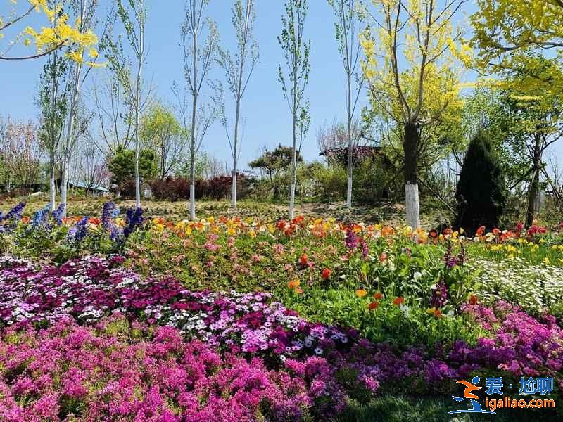 2019北京世园会怎么去，北京世园会游玩攻略？