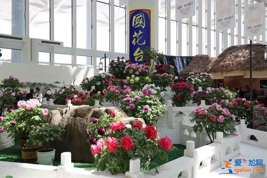 2019北京世园会怎么去，北京世园会游玩攻略？