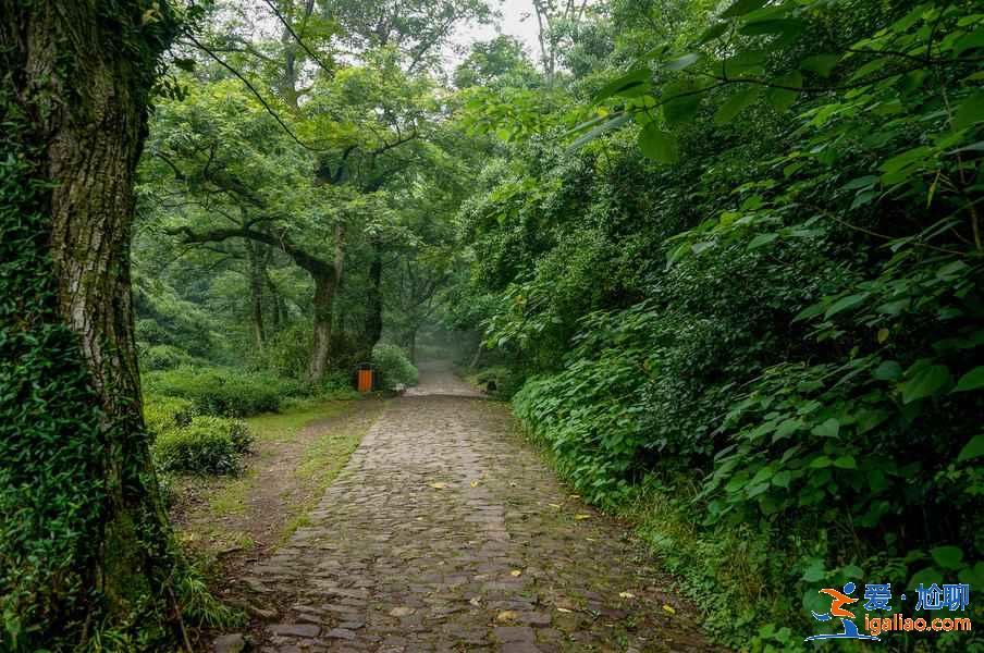 杭州九溪十八涧怎么去，杭州九溪烟树在哪里，九溪十八涧交通路线？