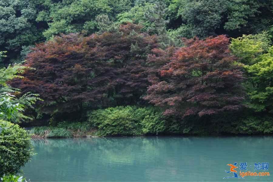 杭州九溪十八涧怎么去，杭州九溪烟树在哪里，九溪十八涧交通路线？