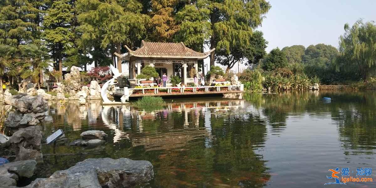 南京哪些景点免费，南京免费景点盘点？